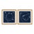 Strawberry Vine 1 and 2 by Susan Hable For Sale