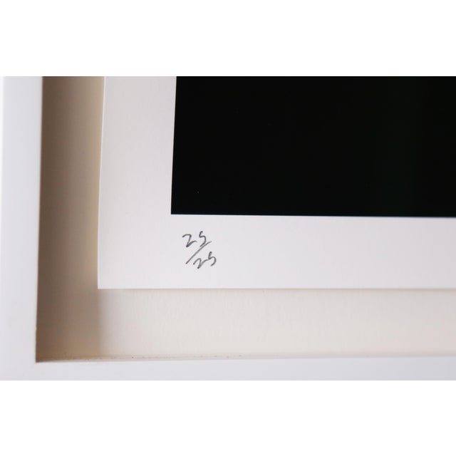 Michael Kagan 2019 "Mercury Gloves" Diptych For Sale - Image 6 of 8