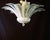 A fine and luxurious vintage ceiling lamp, entirely handmade by our master craftsman. This exquisite 1980s ceiling lamp is...
