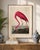 Pink Pink Flamingo (Audubon, Birds of America), Vintage Art Print Reproduction, 16" X 24" For Sale - Image 8 of 12