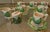 Drinks Service by Colin Morrow for Arpex, Italy, 1970s, Set of 21 For Sale - Image 9 of 18