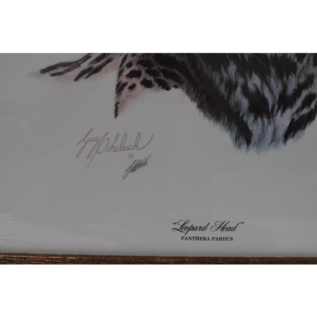 Hollywood Regency 1970's Guy Coheleach Leopard Head Print For Sale - Image 3 of 7