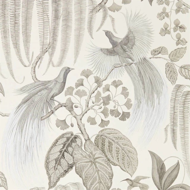 Sanderson Bird of Paradise Wallpaper in Linen - a Sample For Sale
