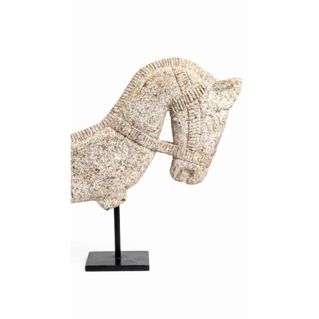 1980s 1980s Large 45" Hand-Carved Monumental Architectural Horse Bust on Gallery Stand For Sale - Image 5 of 6