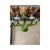 Green Murano Glass Chandelier with Trasparent Rostrato Boubeches by Simoeng For Sale - Image 10 of 11
