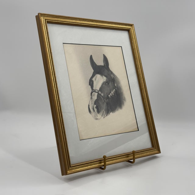 Vintage Western Black and White Horse Portrait Photograph White Blaze For Sale - Image 4 of 9