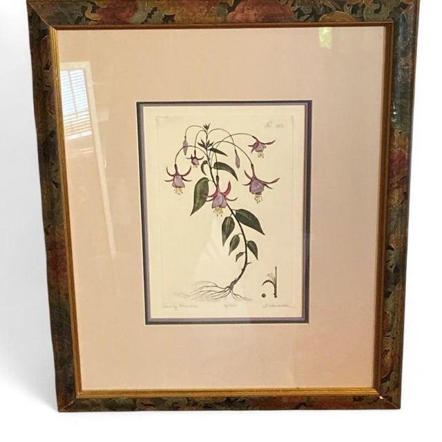 Dan Mitra Hand Colored Etching “Evening Primrose” Limited Edition No. 84/950 Professionally framed and matted by W. King...
