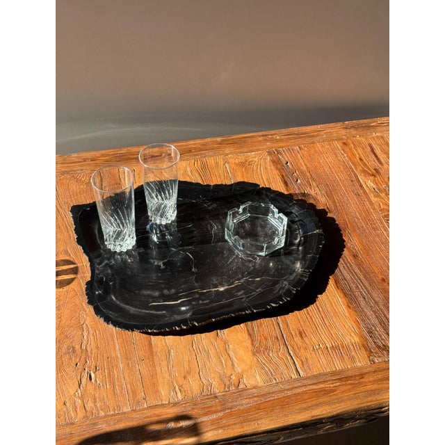 Large trinket tray or serving dish in black petrified wood. Petrified wood is a fossilized wood (from the same family as...