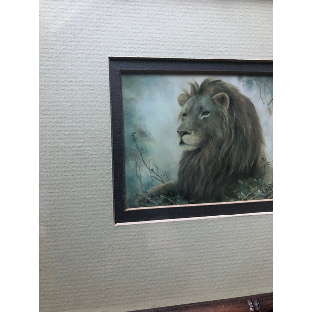 1970s Vintage Framed Lion Safari Print For Sale - Image 4 of 8
