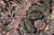 1990s Boho Chic 1990's Floral Pak-Persian Black/Gray Wool Round Rug- 8'2'' X 8'2'' For Sale - Image 5 of 8