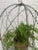 Metal Antique French Wire Cloche For Sale - Image 7 of 12