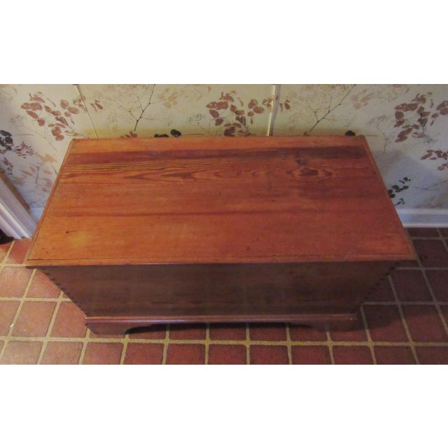 Antique Primitive Southern Pine Blanket Chest Chairish