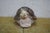 Antique German Victorian Naughty Lady in Tortoise Shell Vanity Box Figurine For Sale - Image 9 of 14
