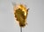 Vintage Gold-Plated Glass and Metal Wall Lamp by Banci Firenze, Italy, 2000s For Sale - Image 6 of 18