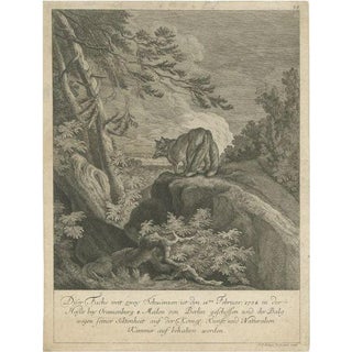 Ridinger, Fox with Two Tails, 1745, Paper For Sale