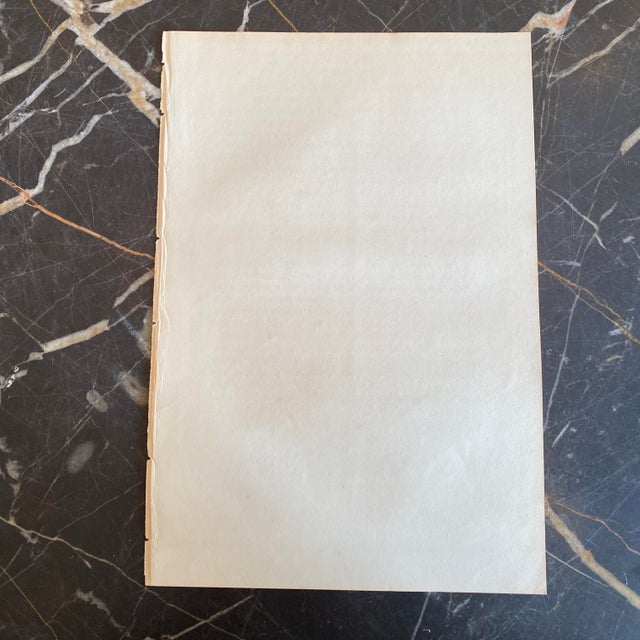 French Antique 18th Century Bird Engraving Hand Colored Signed Artwork For Sale - Image 4 of 4