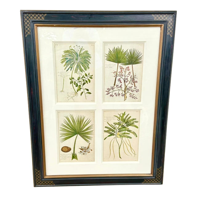 Framed Set of 4 Botanical Prints by Throwbridge For Sale