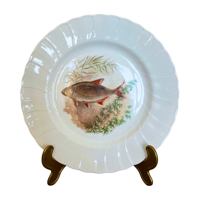 Porcelain Fish Plates Service for 12 with Hand-Painted Freshwater Fish from Limoges, France, 1930s, Set of 12 For Sale - Image 6 of 11