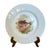 Porcelain Fish Plates Service for 12 with Hand-Painted Freshwater Fish from Limoges, France, 1930s, Set of 12 For Sale - Image 6 of 11