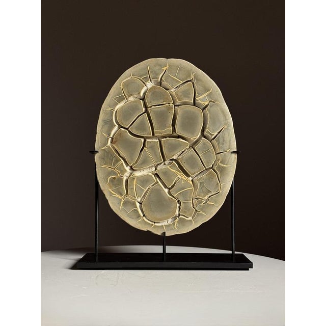 Septarian Nodule on Stand For Sale - Image 14 of 14