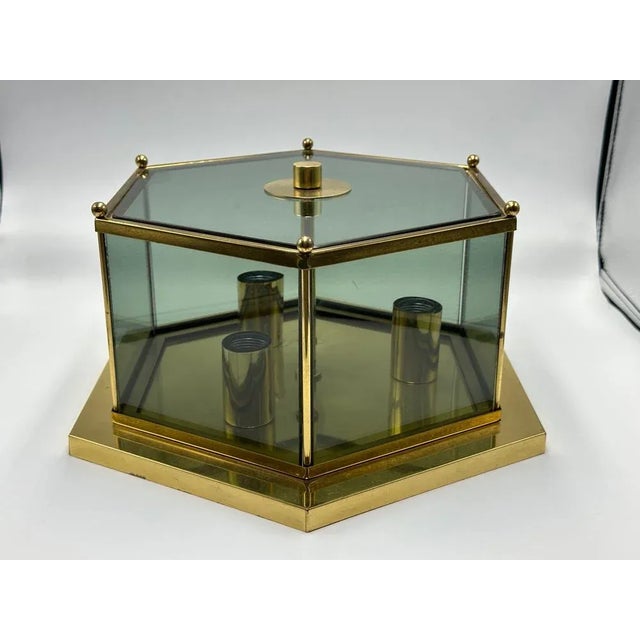 Modernist Smoked Glass Brass Ceiling Lamp attributed to Luigi Colani for Jsb, 1970s For Sale - Image 4 of 9