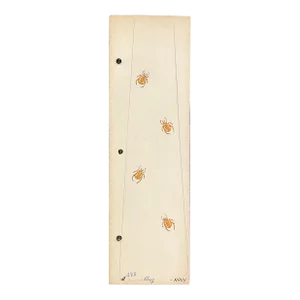 1940s Necktie Swank Bug Design Watercolor