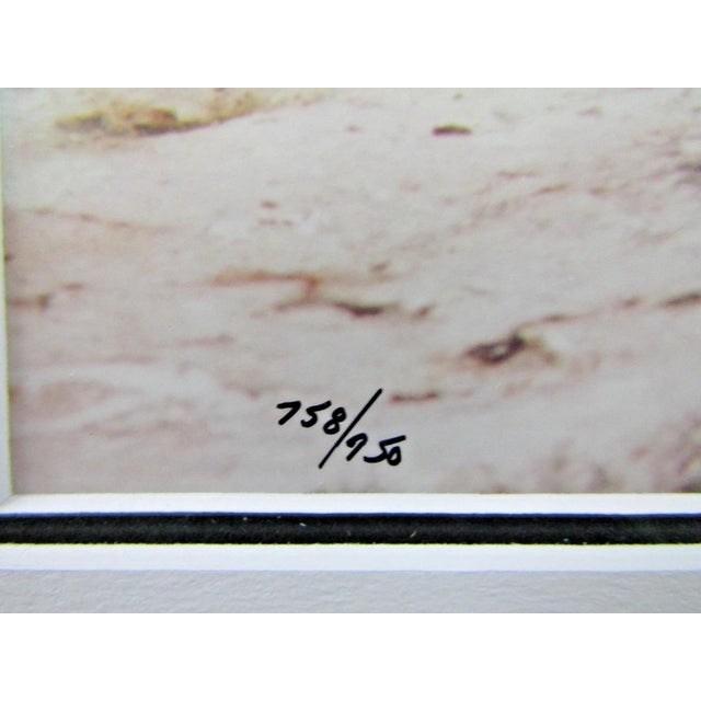 1980s Signed Thomas Mangelsen Puffin Pair Limited Edition 758/950 Matted and Framed For Sale - Image 4 of 10