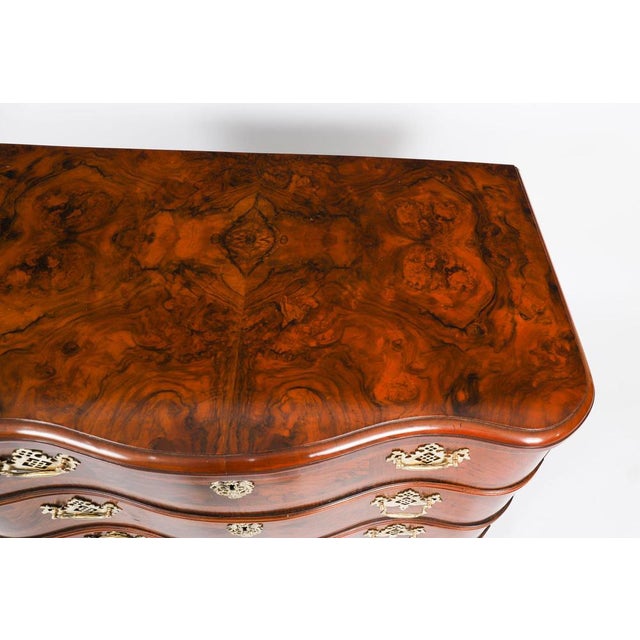Antique Bavarian Burr Walnut Chest Commode, 1760s For Sale - Image 6 of 18