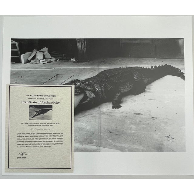 1980s "Crocodile Eating Ballerina, Wuppertal 1983" Vintage Silver Gelatin Print by Helmut Newton For Sale - Image 5 of 8