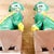 Ceramic Antique Famille Verte Style Ceramic Foo Dog Pair: Green, Yellow and Brown Glazed Asian Figurines For Sale - Image 7 of 11