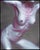 Figure 4 2019 by Matthew Alfonso Durante | Acrylic on panel Figure of a nude female torso. For Sale