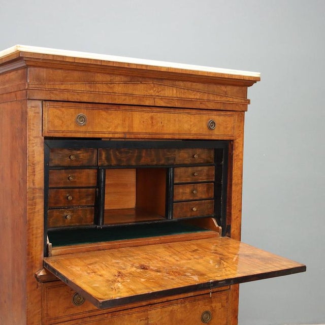Biedermeier Secretary in Lemonwood and Ebony For Sale - Image 3 of 16