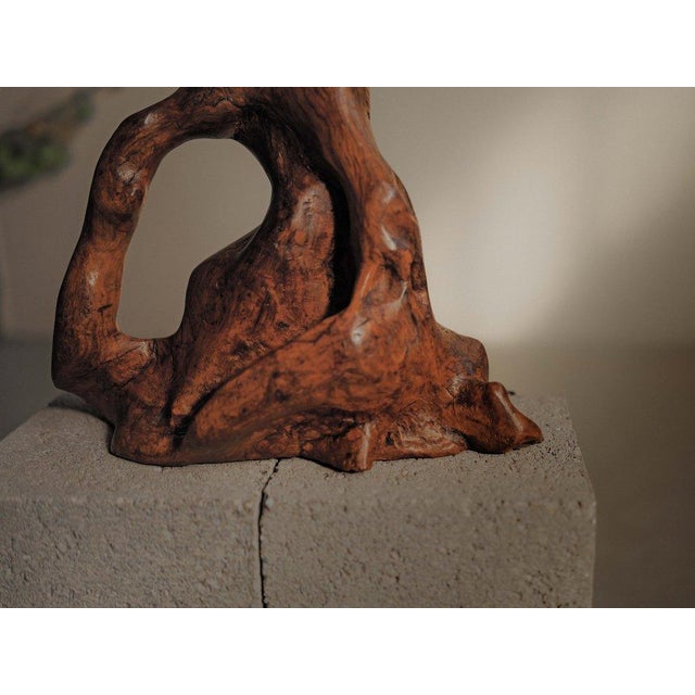 1960s Sculptural Olive Wood Table Lamp, 1960 For Sale - Image 5 of 12