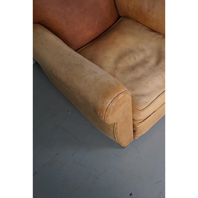 Animal Skin French Club Armchairs with Leather File Mustache Cognac, 1940s, Set of 2 For Sale - Image 7 of 18