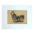 Antique Dog Print in 8 x 10 Mat, ca. 1890: The Yorkshire Terrier Champion Ted For Sale