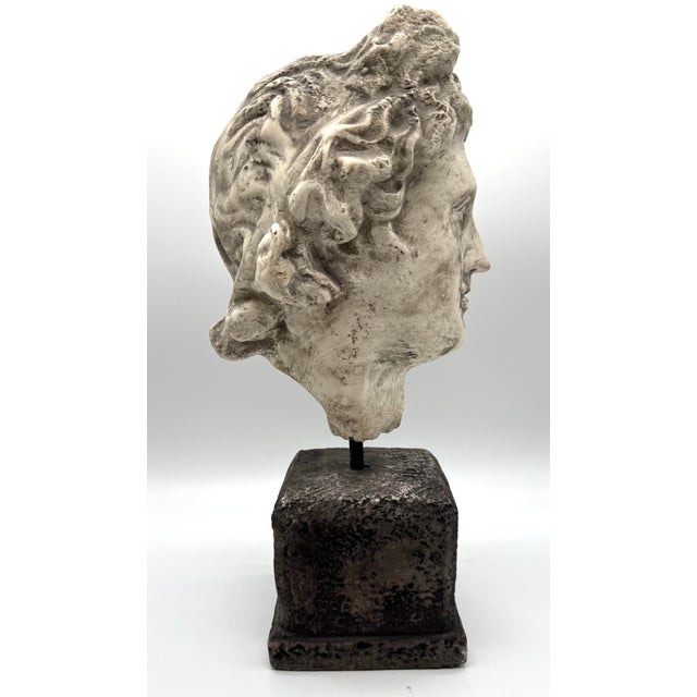 Grand Tour Late 20th Century Attila’s Classical Fragment Head Sculpture on Pedestal - Reproduction For Sale - Image 3 of 8