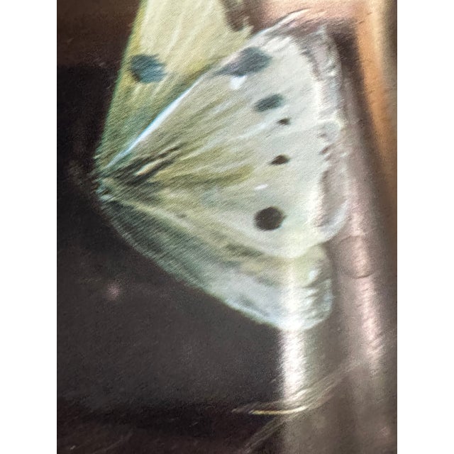 Metal 1990s Ian Logan London English Tole Serving Tray 22" X 17" Painting by Mimi Roberts For Sale - Image 7 of 18