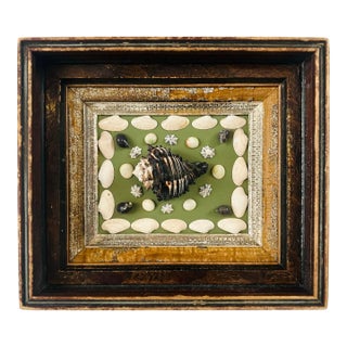 Antique Frame With Shell Sculpture Wall Hanging For Sale