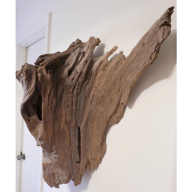 Large Driftwood Wall Sculpture Chairish