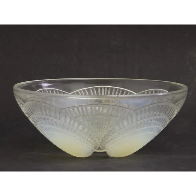 Large Art Deco Opalescent Shell Bowl by René Lalique, 1924 For Sale - Image 6 of 6
