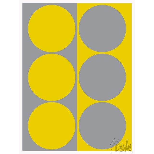 Dynamic Pair Yellow and Gray Fine Art Print 18" X 24" by Liz Roache For Sale