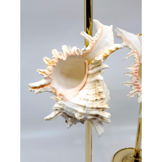 Brass Candlesticks Shells Seashells Pair For Sale - Image 11 of 15