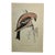 Antique Hand Tinted Bird Print From England Featuring an American White-Winged Crossbill - Circa 1888 For Sale