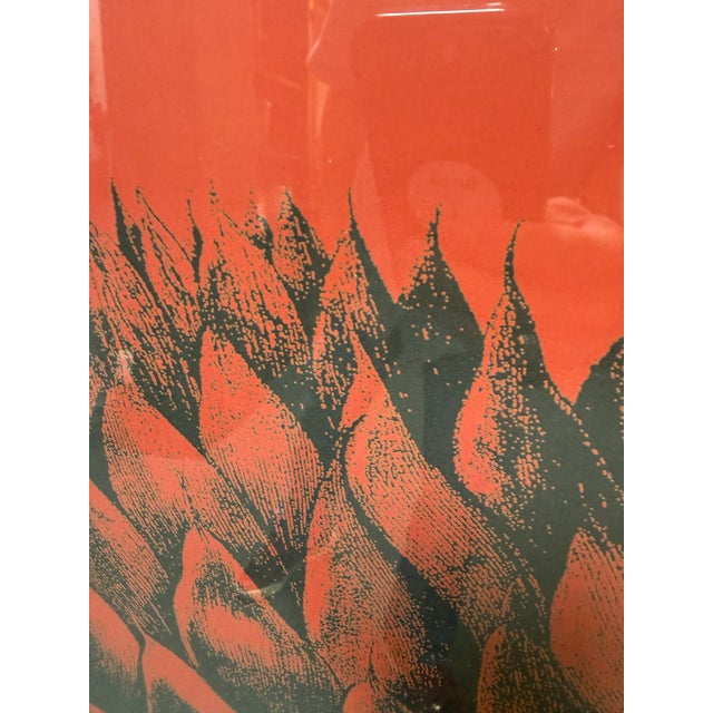 Wood Botanical Series Artichoke Ten Print, Framed For Sale - Image 7 of 12