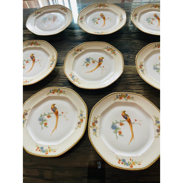 10 Antique Bird Parrots Porcelain Plates Checz For Sale In Miami - Image 6 of 6