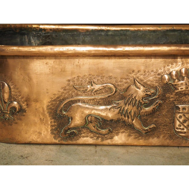 Circa 1900 French Double Lion Passant and Fleur De Lys Copper Poissonnière For Sale - Image 14 of 18