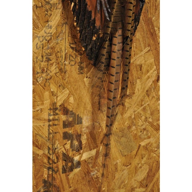 Vintage Ringneck Pheasant Bird Full Body Wall Mount on Wood Taxidermy Decor For Sale - Image 9 of 12