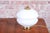Mid-Century Table Lamp in Brass and Glass, Czech, 1960s For Sale - Image 3 of 10