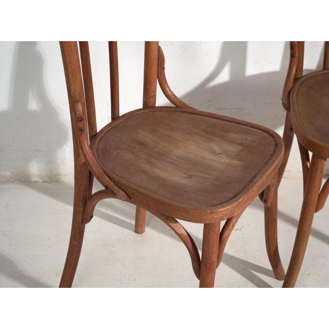 Antique Bentwood Chairs, Central Europe, 1900s, Set of 6 For Sale - Image 6 of 16