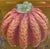 Murano Glass Pumpkin Circa 1960s For Sale - Image 9 of 12
